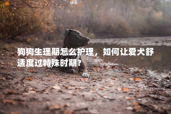 狗狗生理期怎么护理，如何让爱犬舒适度过特殊时期？