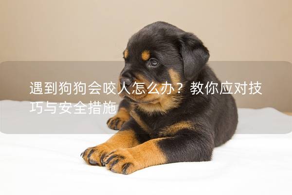 遇到狗狗会咬人怎么办？教你应对技巧与安全措施