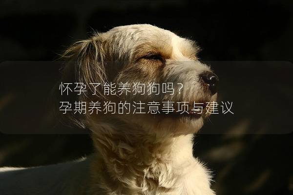 怀孕了能养狗狗吗？ 孕期养狗的注意事项与建议