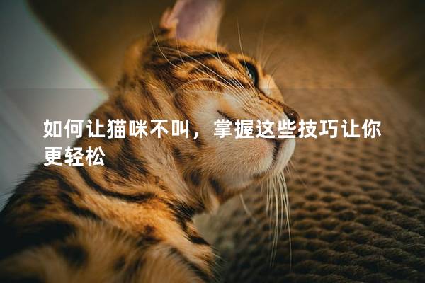 如何让猫咪不叫，掌握这些技巧让你更轻松