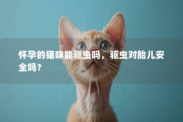 怀孕的猫咪能驱虫吗，驱虫对胎儿安全吗？