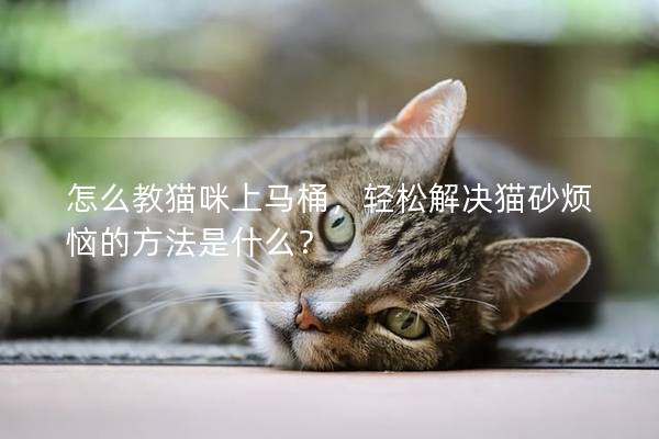 怎么教猫咪上马桶，轻松解决猫砂烦恼的方法是什么？