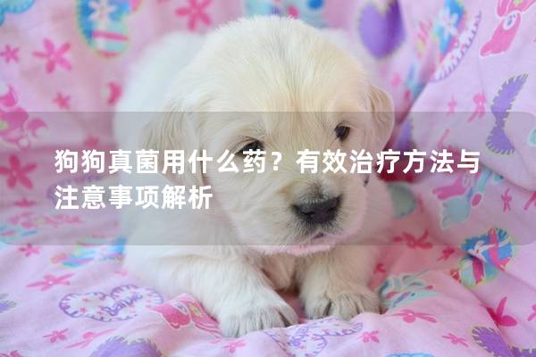 狗狗真菌用什么药？有效治疗方法与注意事项解析