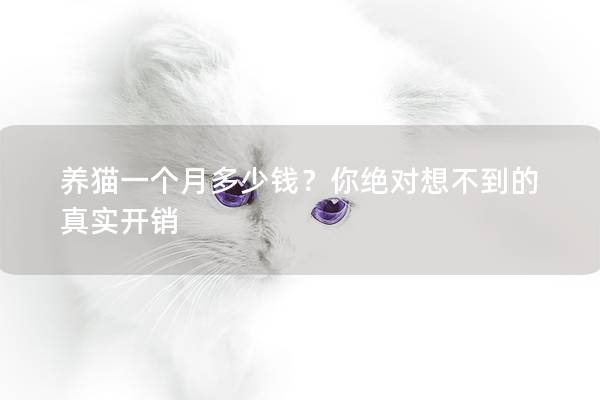 养猫一个月多少钱？你绝对想不到的真实开销