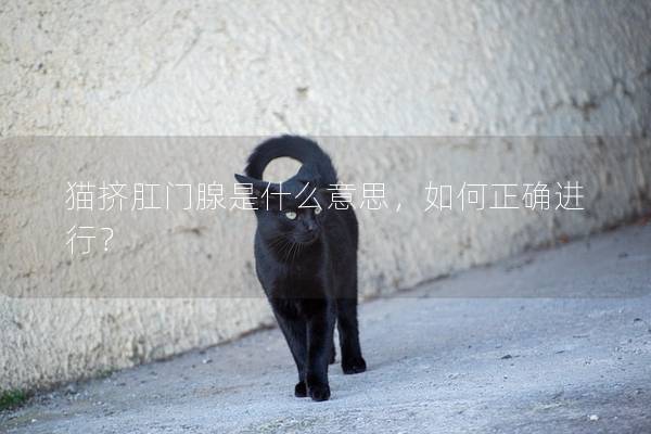 猫挤肛门腺是什么意思，如何正确进行？