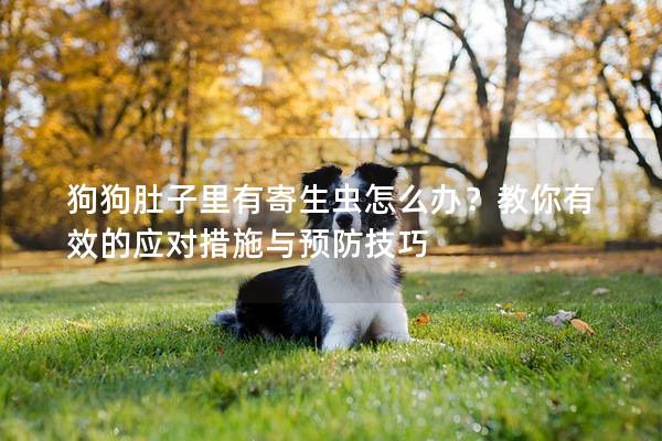 狗狗肚子里有寄生虫怎么办?教你有效的应对措施与预防技巧 狗狗肚子里有寄生虫怎么办?教你有效的应对措施与预防技巧