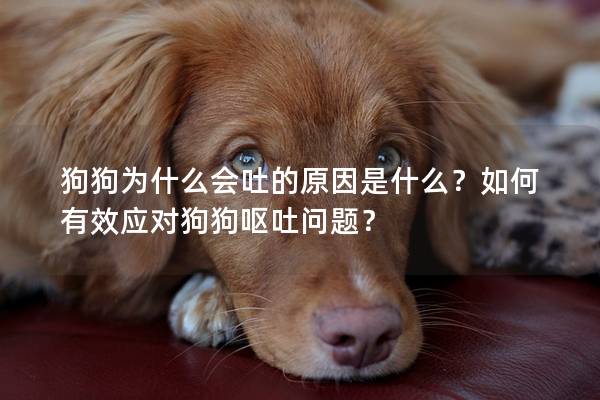 狗狗为什么会吐的原因是什么？如何有效应对狗狗呕吐问题？